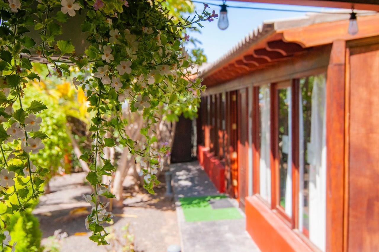 El Rincon Del Huroncillo Tejina ภายนอก รูปภาพ