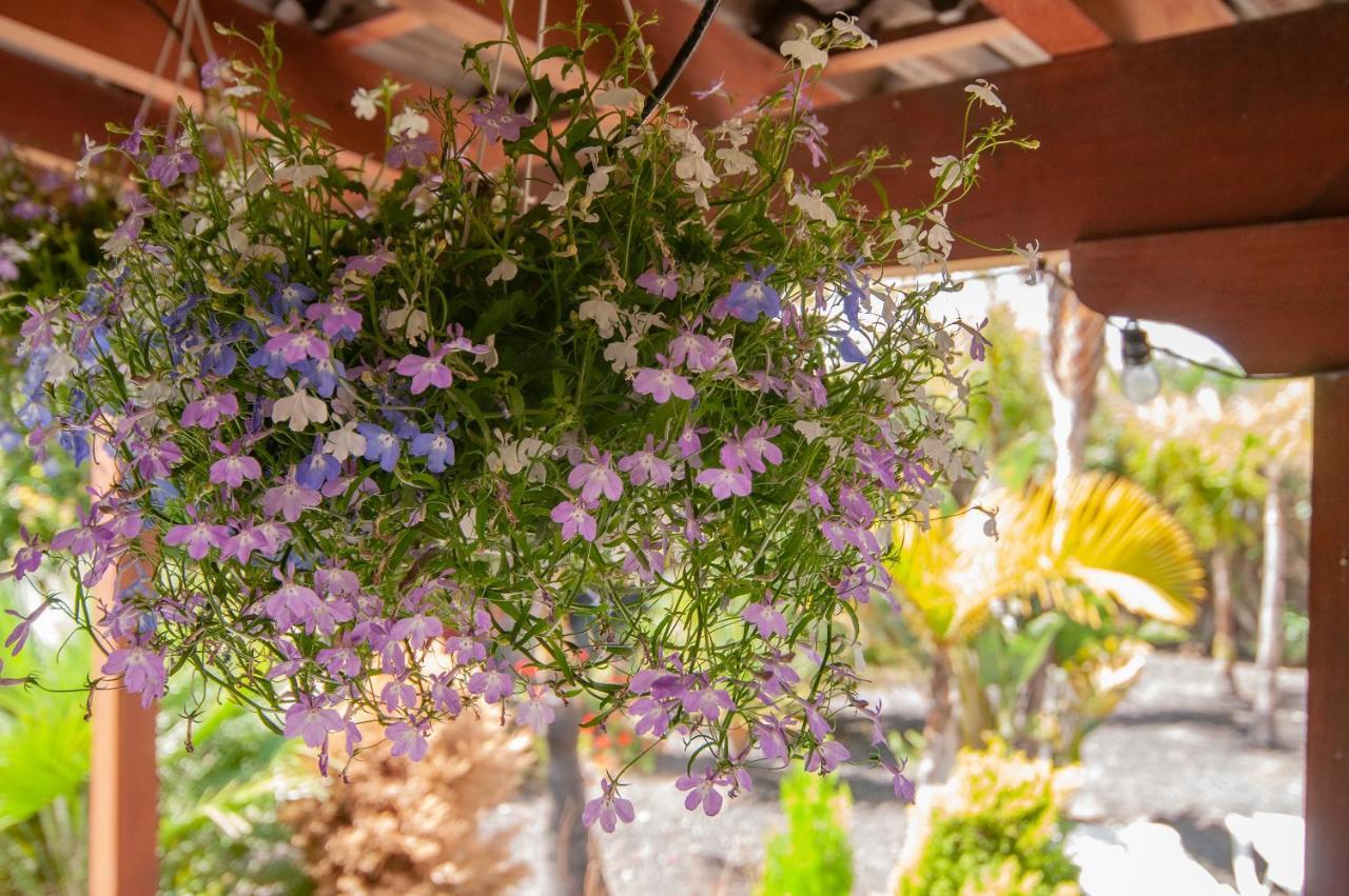 El Rincon Del Huroncillo Tejina ภายนอก รูปภาพ